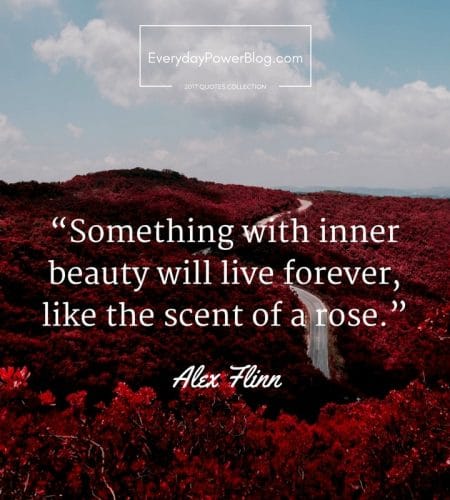 quotes about beauty