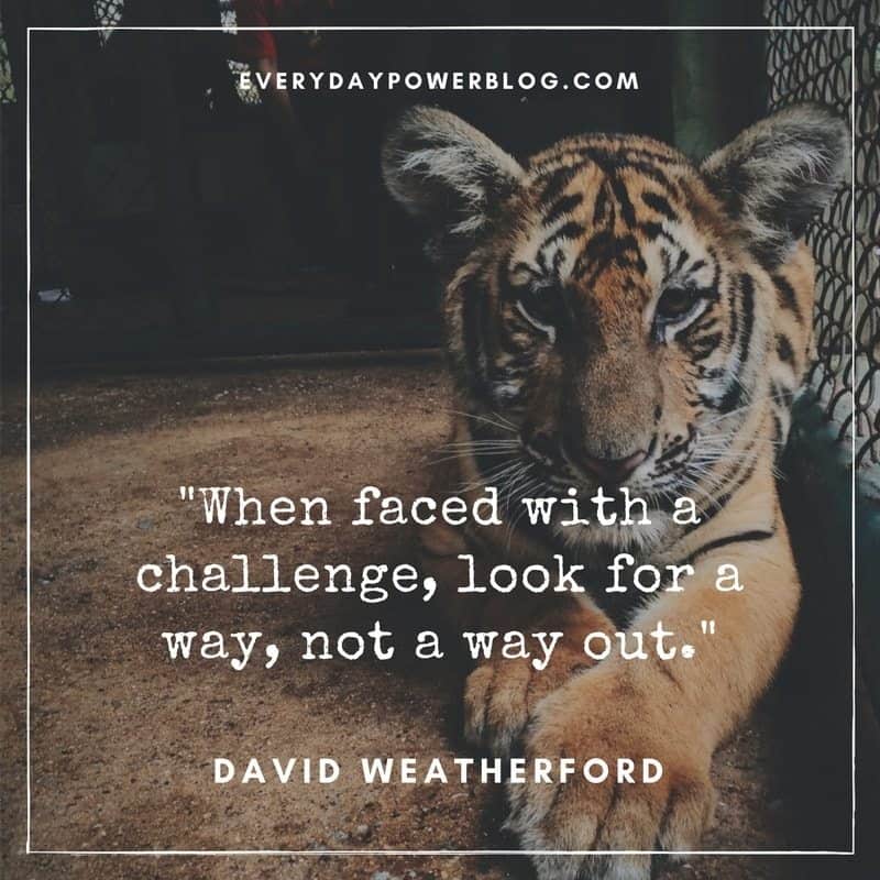 60 Challenge Quotes About Life, Love & Tough Times 